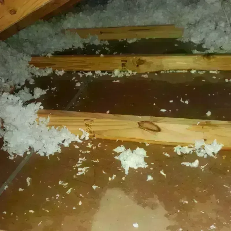 Attic Water Damage in Aurora County, SD