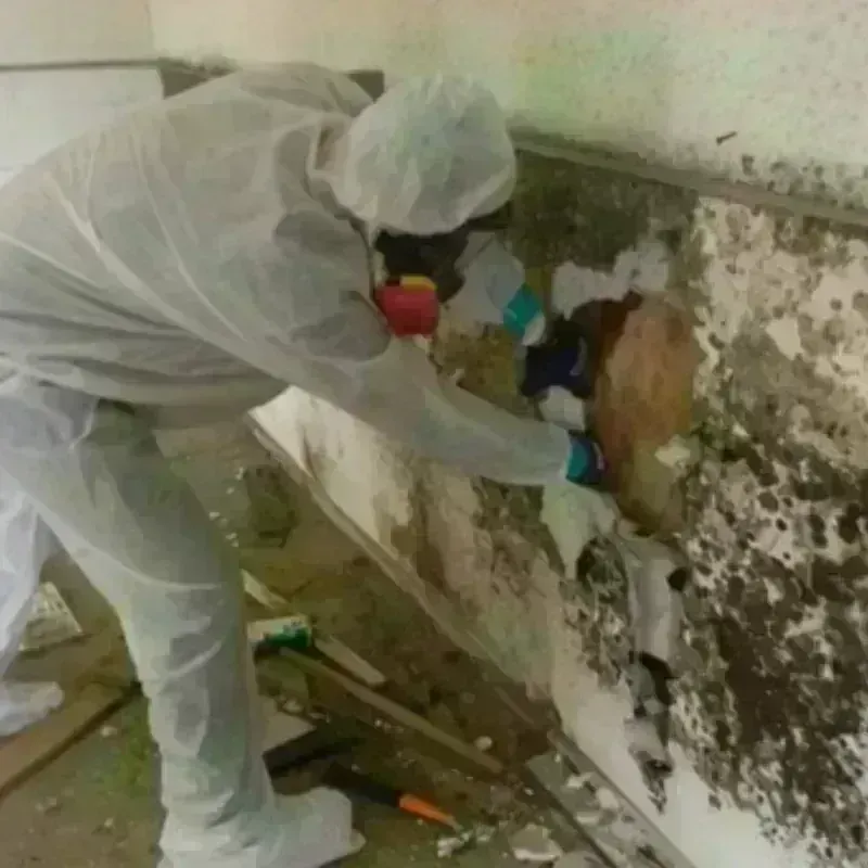 Mold Remediation and Removal in Aurora County, SD